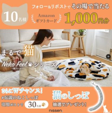 Amazonギフトカード1,000円分がその場で10名様に当たるXキャンペーン