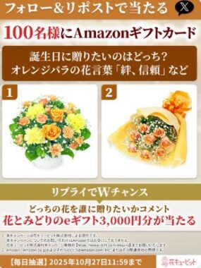 100名様にAmazonギフトカード500円分が当たるXキャンペーン