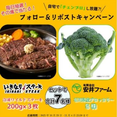 冷凍ワイルドステーキ&石川県産ブロッコリーが当たるキャンペーン