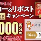 えらべるPay 10,000円分