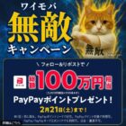 総額100万円相当のPayPayポイントが当たる毎日応募X懸賞
