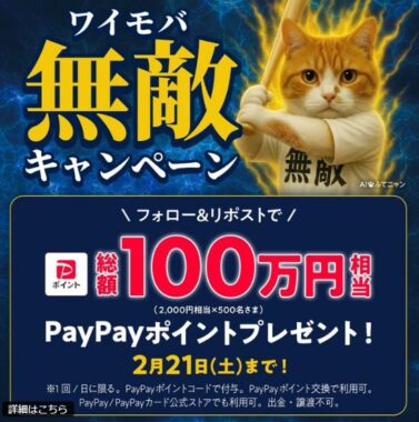 総額100万円相当のPayPayポイントが当たる毎日応募X懸賞