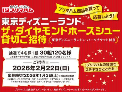 ザ・ダイヤモンドホースシュー貸切チケット