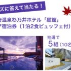 別府温泉 杉乃井ホテル宿泊券
