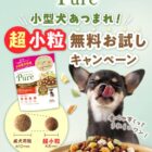 小型犬におすすめのドライフードがサンプルでお試しできるキャンペーン