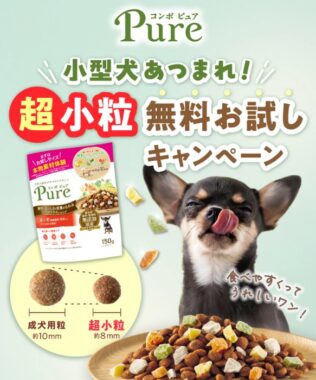 小型犬におすすめのドライフードがサンプルでお試しできるキャンペーン