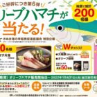 Wチャンスもアリ！オリーブハマチが当たるクローズドキャンペーン