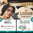 えらべるPay 500ポイント / カスタムオーダーForペット
