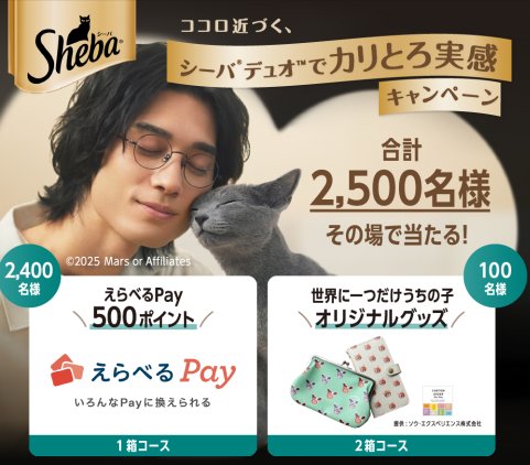 えらべるPayやカタログギフトが当たるマース ジャパンのレシート懸賞