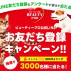 えらべるPay 300ポイント