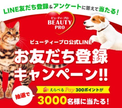 えらべるPay 300ポイント