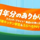 バルミューダ製品 / えらべるPay 500円分