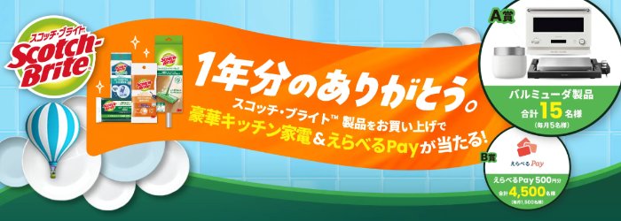 バルミューダ製品やえらべるPayが当たる3Mのクローズドキャンペーン
