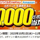 dポイント 最大10,000ポイント