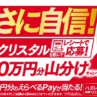えらべるPay 最大1,000円分 / アサヒスーパードライ ドライクリスタル