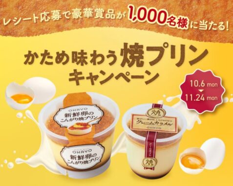 BALMUDAトースターや旅行券なども当たるオハヨー乳業の豪華レシート懸賞