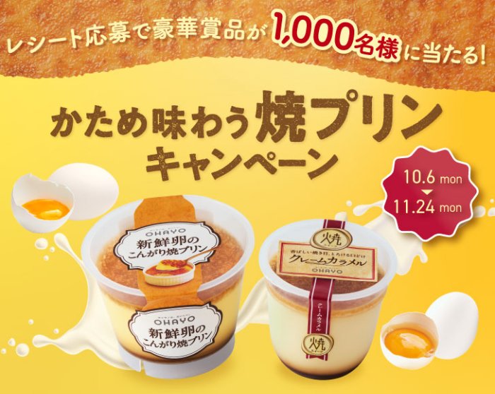 BALMUDAトースターや旅行券なども当たるオハヨー乳業の豪華レシート懸賞