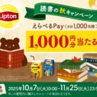 えらべるPay 1,000円分