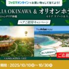 ジャングリア沖縄の1Dayチケット＆オリオンホテル モトブ リゾート＆スパ宿泊券 他