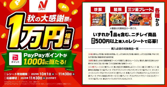 1万円相当のPayPayポイントが1,000名様に当たるニチレイのレシートキャンペーン