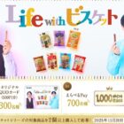 オリジナルQUOカード 500円分 / えらべるPay 1,000ポイント