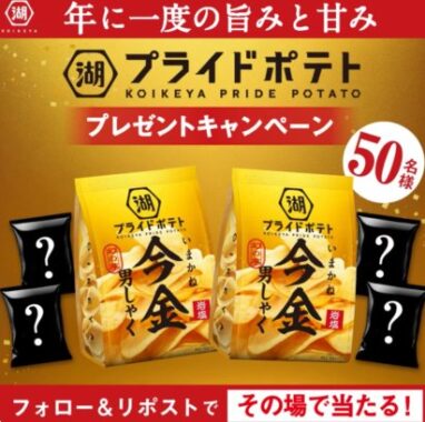 湖池屋の新商品がその場で当たる毎日応募Xキャンペーン