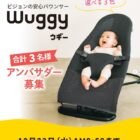 バウンサー アンバサダー