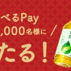 えらべるPay 100ポイント