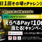 えらべるPay 最大1,000pt