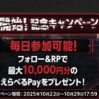 えらべるPay 最大10,000円分