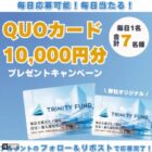 オリジナルQUOカード 10,000円分