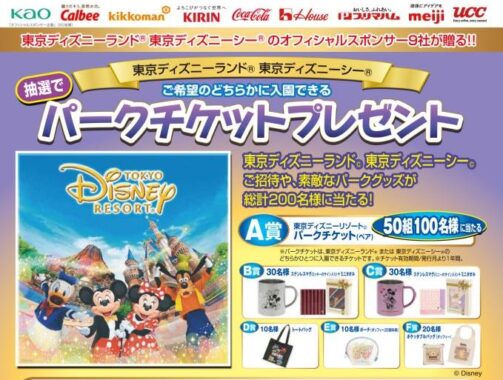 ディスニーパークチケット / グッズ