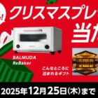 Coke ONドリンクチケット / PayPayポイント 500ポイント / BALMUDA ReBaker 他