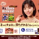 オリジナルQUOカードやブランケットが当たるブルボンのレシート懸賞
