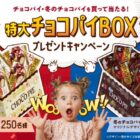 Wチャンスもアリ！特大チョコパイBOXが当たるロッテのクローズドキャンペーン