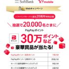 PayPayポイント 最大30万円相当 / ホークスサイン入りグッズ