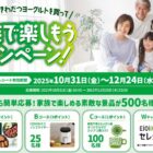 カタログギフト / COSORIミニノンフライヤー 他