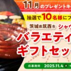 ソースたっぷりミートドリア商品モニター