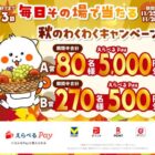 えらべるPay 最大5,000円分