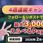 えらべるPay 最大3,000円分