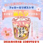 スープはるさめ ワンタン 1ケース