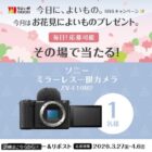 ソニー ミラーレス一眼カメラ