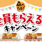 全プレ！オリジナルキッチンタイマーが必ずもらえるお得なキャンペーン