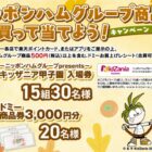 キッザニア甲子園チケット / ドミー商品券 3,000円分