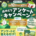 総額10万円分のQUOカードPayが当たる森林どりのアンケート懸賞