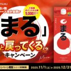 えらべるPay 最大5,000円分