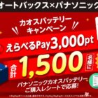 えらべるPay 3,000ポイント分