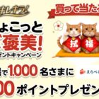 えらべるPay 500ポイント