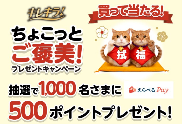 1,000名様にえらべるPayが当たるエリエールのクローズドキャンペーン