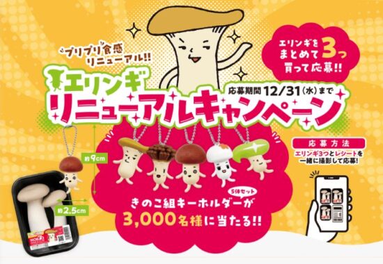 きのこ組キーホルダーが3,000名様に当たるHOKTOのクローズドキャンペーン